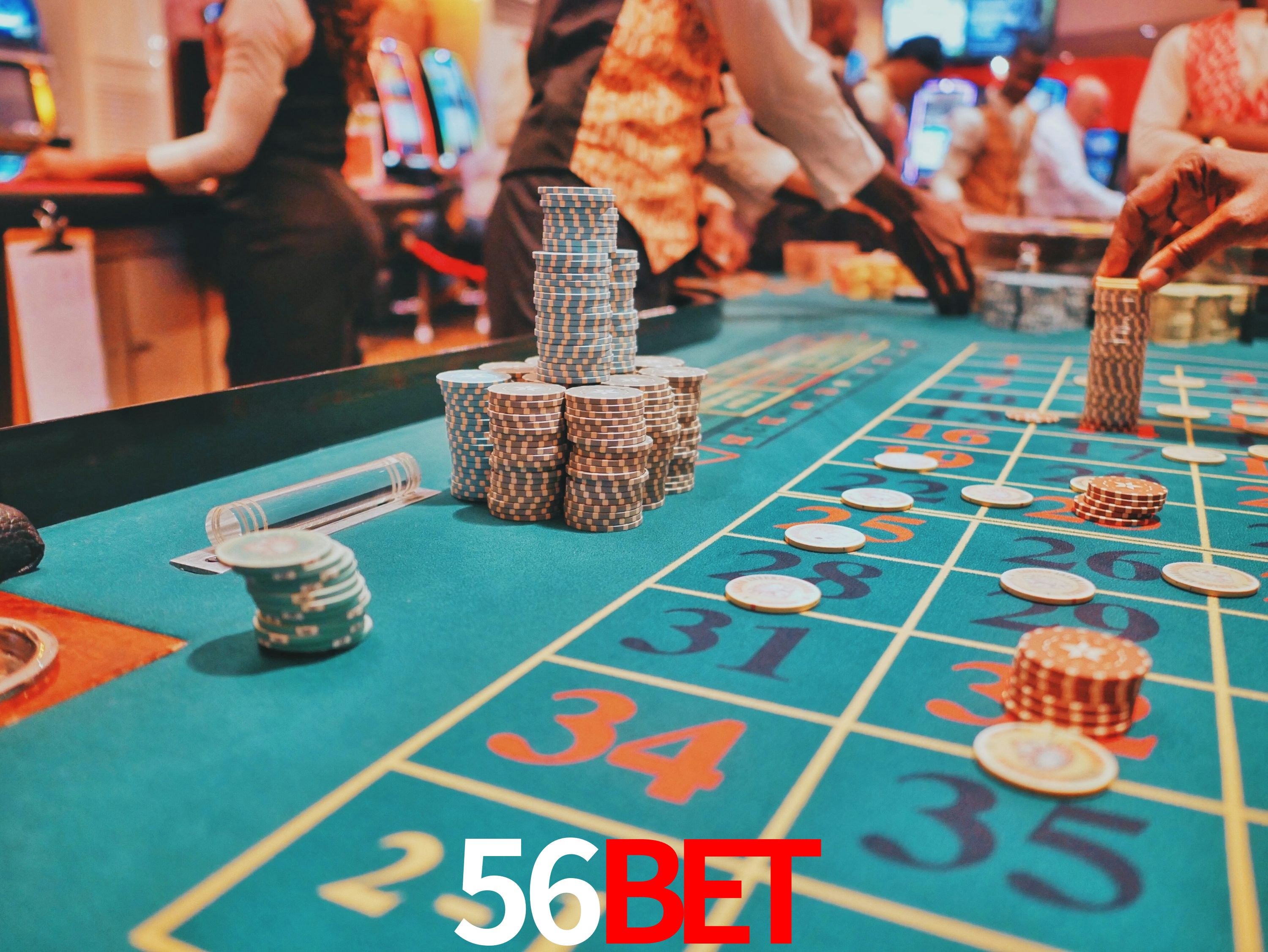 Sports Statistics 56bet